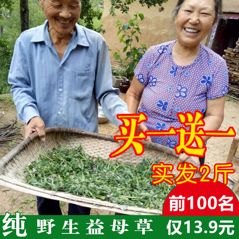 益母草中药材纯野生2024年新货无硫干益母草粉泡脚澡新鲜益母草茶