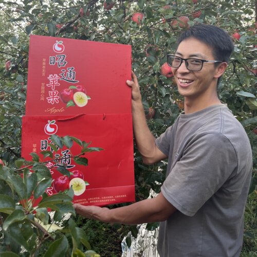 云南昭通冰糖心丑苹果新鲜应季2026现摘脆甜24枚大果12斤礼盒装