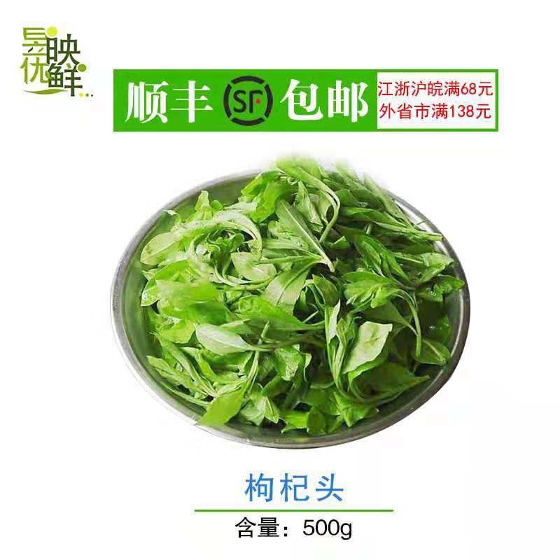 上海崇明野生枸杞头 枸杞叶 嫩乳头新鲜蔬菜时令菜500克当天现发