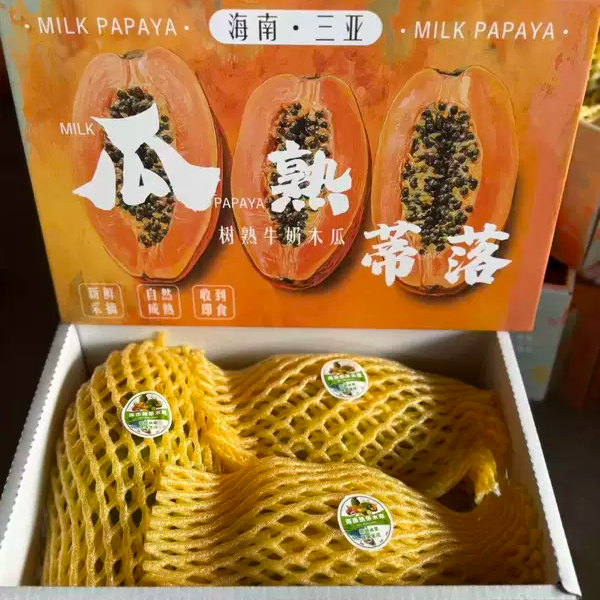 现摘树上熟 海南红心木瓜牛奶木瓜 炖汤下奶冰糖心甜糯香木瓜