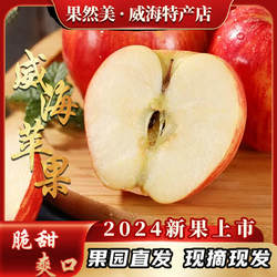 山东苹果正宗威海红孩儿苹果当季新鲜采摘脆甜水果冰糖心红