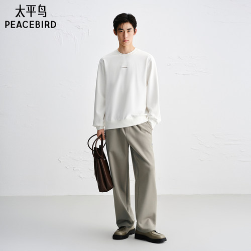 【商场同款】太平鸟男装休闲裤25秋季新款直筒卫裤潮 B1GF3439 - 封面