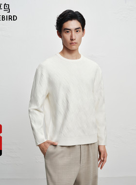 【商场同款】太平鸟男装几何肌理毛衫冬季新款纯色毛衣B1EBF4424