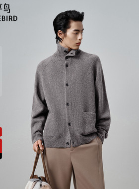 【商场同款】太平鸟男装耗牛绒毛衫新款翻领羊毛针织衫B1EAF4B17