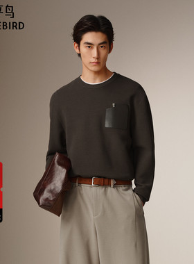 【商场同款】太平鸟男装 2025年冬季新款针织衫毛衣男B1EBF4238