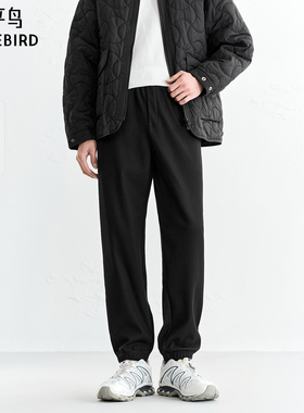 【商场同款】太平鸟男装 2025年冬季新款束脚卫裤休闲裤B2GMF4532