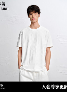 【商场同款】太平鸟男装 2026年夏季新款提花短袖T恤男B1CNG2170#