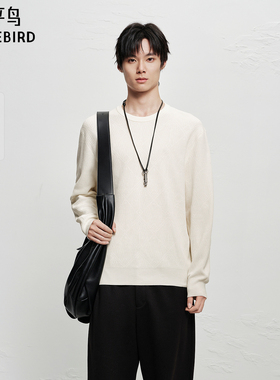 【商场同款】太平鸟男装 2025年冬季新款打底衫米白毛衫B1EBF4235