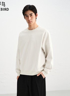 【商场同款】太平鸟男装 2025年秋季新款宽松圆领卫衣男B1CRF3413