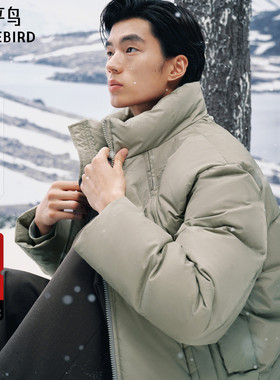 【商场同款】太平鸟男装羽绒服25冬季新款阔版面包服 B2ACF4524
