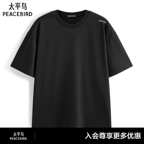 【商场同款】太平鸟男装T恤26夏季刺绣宽松休闲短袖潮 B1CNG216A