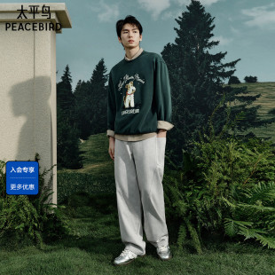 休闲卫衣男士 圆领套头卫衣男士 时尚 潮流春季 上衣 经典 太平鸟男装