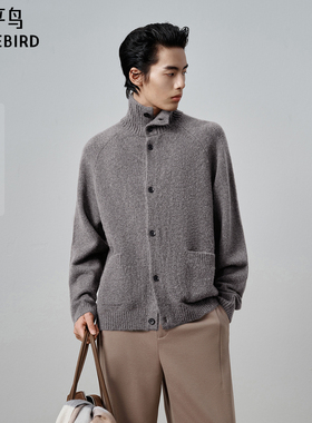 【商场同款】太平鸟男装耗牛绒毛衫新款翻领羊毛针织衫B1EAF4B17