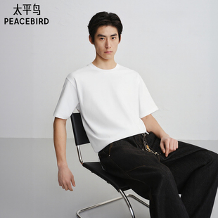 【商场同款】太平鸟男装 2026年春季新款刺绣短袖T恤男B1CNG1412