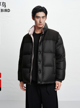 【商场同款】太平鸟男装双面穿立领羽绒服冬面包服外套B1ACF4448