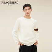 商场同款 时尚 太平鸟男装 羊绒毛套衫 新款 羊毛针织衫 B1EBD412