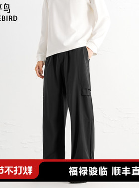 太平鸟男装休闲裤25秋季新款直筒宽松工装长裤户外登山伞裤运动K