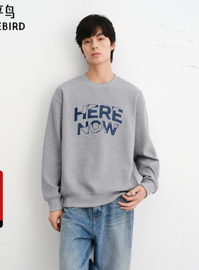 【商场同款】太平鸟男装 2025年秋季新款圆领套头卫衣潮B2CRF3443