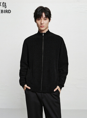 【商场同款】太平鸟男装毛衫25冬季新款雪尼尔开衫潮 B2EAF413B