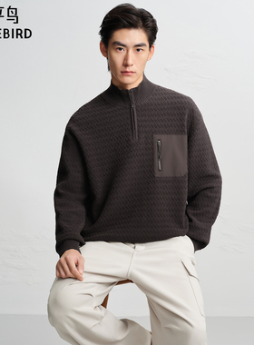 【商场同款】太平鸟男装 2025年冬季新款半高领拉链毛衫B2EBF4511