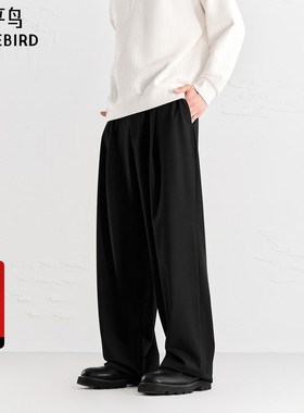 【商场同款】太平鸟男装直筒休闲裤25秋新款斯文阔腿裤B1GBF3332