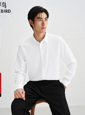 【商场同款】太平鸟男装 25年秋季新款白色长袖衬衫男B1CAF3E07