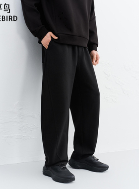 【商场同款】太平鸟男装 抽绳卫裤男黑色宽松直筒休闲裤B1GMF440P