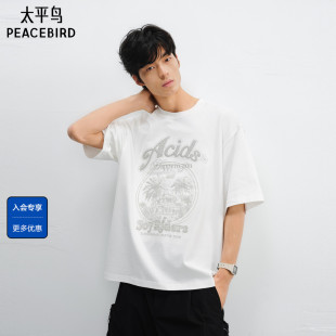 潮牌半袖 T恤重磅体恤衫 t恤男 白色刺绣印花短袖 太平鸟男装