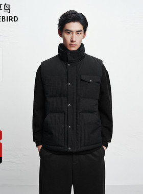 【商场同款】太平鸟男装 2025年冬季新款黑色羽绒马甲B1AGF4433