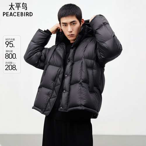 【甄选】太平鸟男装羽绒服