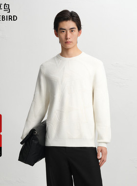 【商场同款】太平鸟男装毛衫冬季时尚圆领提花毛衣 B1EBF4607