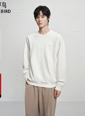 【商场同款】太平鸟男装 2025年冬季新款圆领莫代尔卫衣B2CRF4133