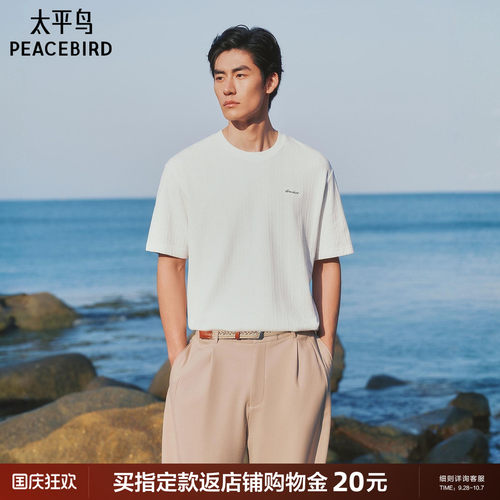 【提花】太平鸟男装纯色肌理感重磅短袖T恤2026夏新款老钱风半袖