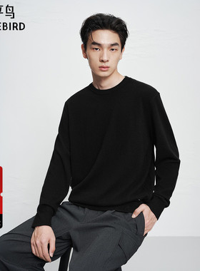 【商场同款】太平鸟男装 休闲毛衫男士时尚半高领羊绒衫B1EBF4B45
