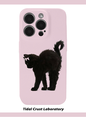 粉系优雅高贵黑色猫猫菲林二合一手机壳适用苹果17nova14华为p70mate60小米15opporen14ovivo荣耀300iPhone16