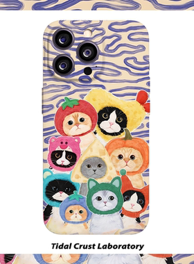 可爱猫咪拍合照条纹菲林二合一手机壳适用苹果17nova14华为p70mate60小米15opporen14ovivo荣耀300iPhone16