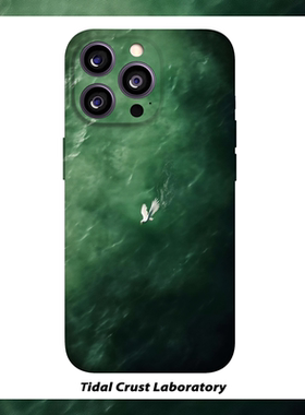 绿色油画海鸥飞翔自由菲林二合一手机壳适用苹果17nova14华为p70mate60小米15opporen14ovivo荣耀300iPhone16