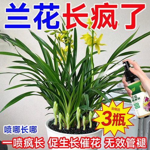 兰花专用营养液补充微量元素催花促苞爆根延花期助生长开花更旺盛