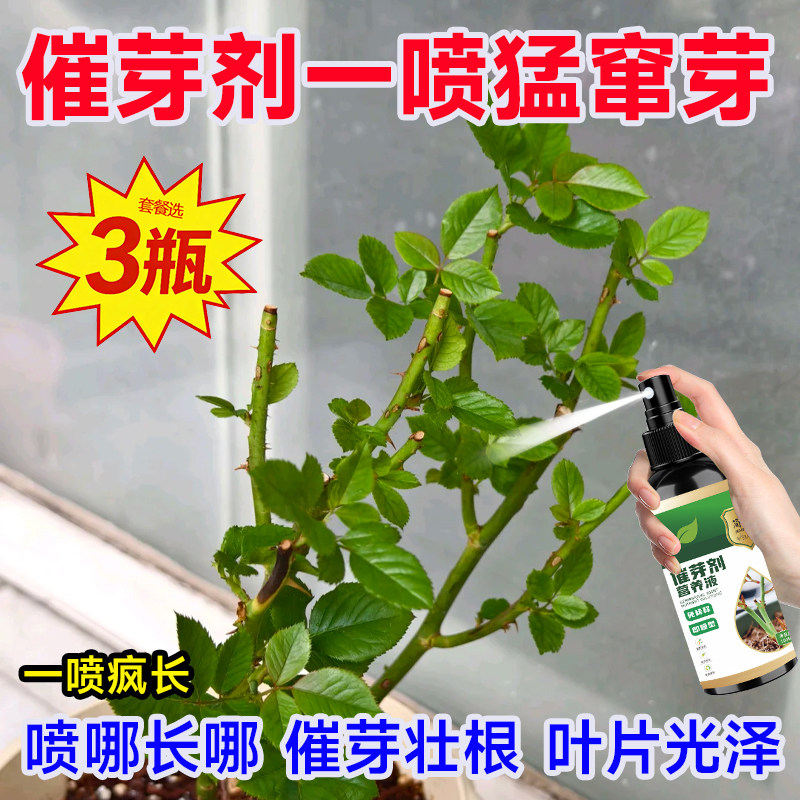 催芽剂通用营养液助力植物焕发生机快速生长芽多芽壮芽分化液体肥