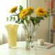 花瓶玻璃透明摆件客厅插花高级感餐桌水养向日葵百合玫瑰鲜花装 饰