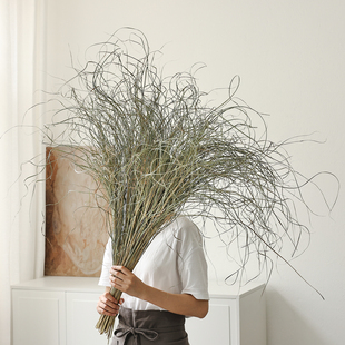 细蒲苇草垂感飘逸侘寂干花花束花瓶插花植物家居酒店民宿软装设计