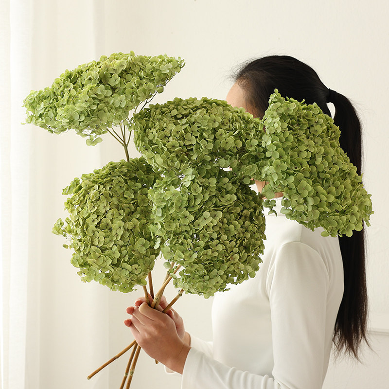 高级感绣球干花花束真花风干天然干枝装饰永生花客厅餐桌艺术插花,家居饰品,干花/花瓣/干花包/干树枝,淘宝优惠券,粉丝福利购,淘宝优惠卷