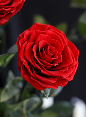 红色玫瑰永生花干花高级感真花天然干花花束客厅插花生日礼物送人