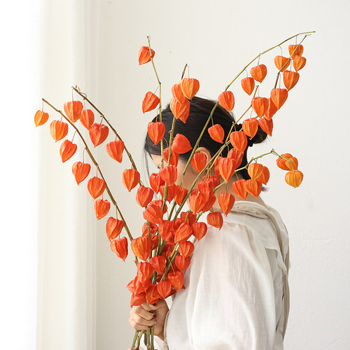 灯笼果酸浆果干花花束高级感真花