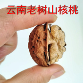 2025新货核桃云南农家老树核桃野生山核桃醇香营养无漂白食用坚果