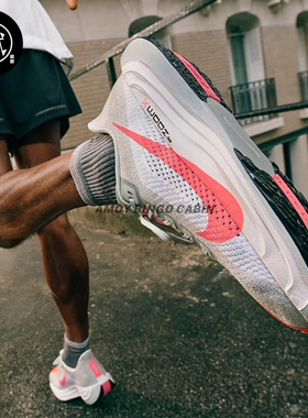 Nike耐克 Pegasus Plus男女超级飞马缓震运动跑步鞋FQ7261 FQ7262