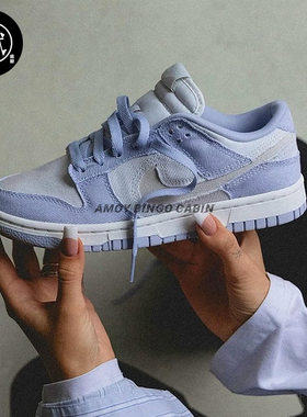 NikeDunk女子帆布牛仔白蓝板鞋