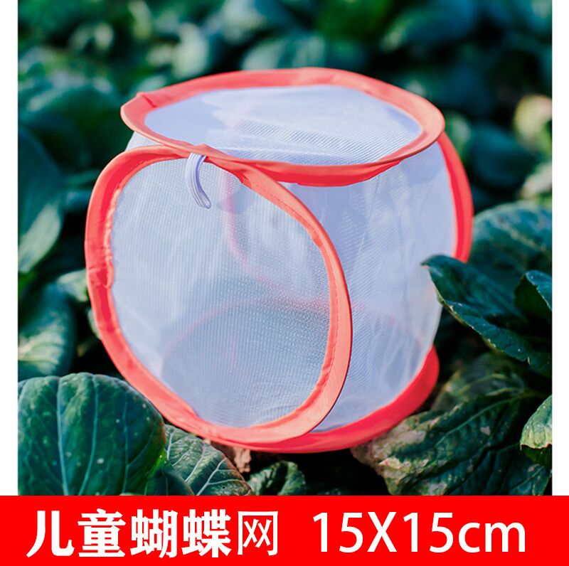 蝴蝶笼寻蝶园变色龙昆虫螳螂宠物