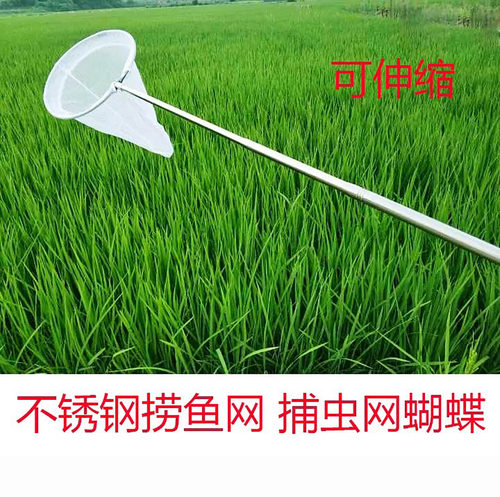 捕虫网不锈钢渔网伸缩加长知了