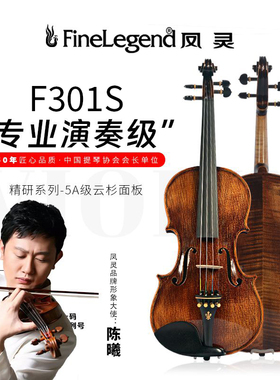 凤灵手工实木小提琴全进口欧料初学者儿童成人专业考级演奏F301S